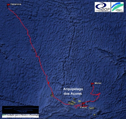 Açores: mapa de migração de baleias