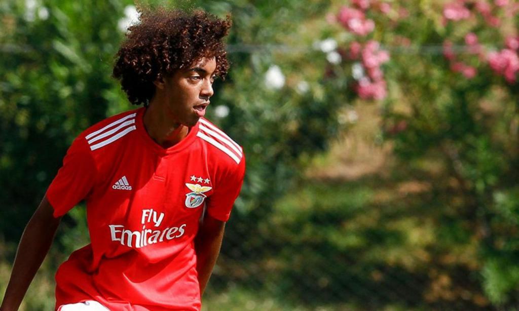 Tomás Tavares, 18 anos (Portugal/Benfica)