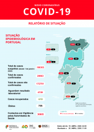 Relatório de situação da covid-19 em Portugal - 20 abril (Direção-Geral da Saúde)