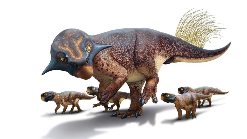 Dinossauros f.c