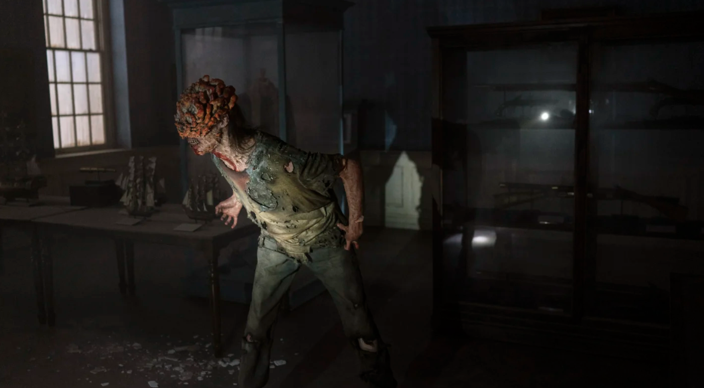 Fungo de The Last of Us existe na vida real – e está no Brasil