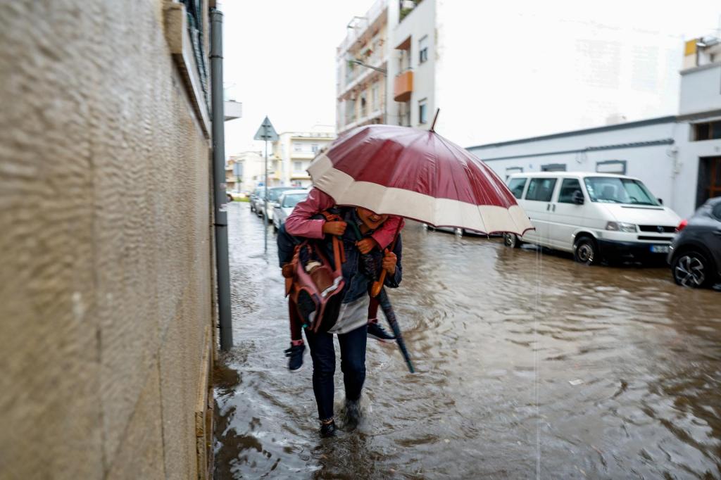 Cientistas descobrem fenómeno surpreendente que pode estar a abrandar os  efeitos das alterações climáticas - CNN Portugal